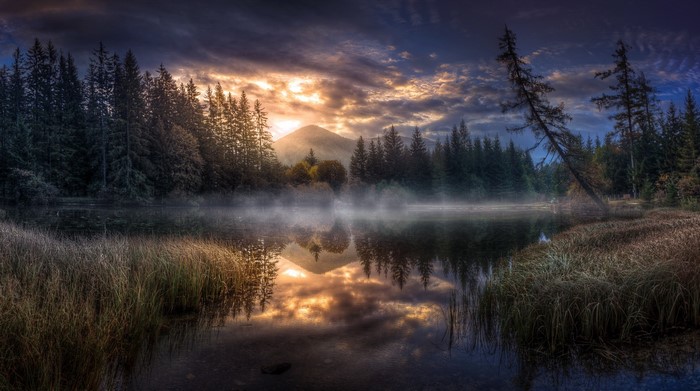 Misty lake with trees and mountain reflection at sunrise