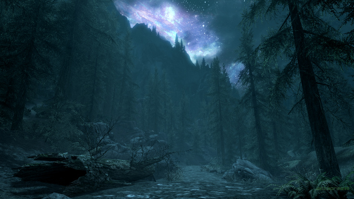 The Elder Scrolls V: Skyrim night sky over forest