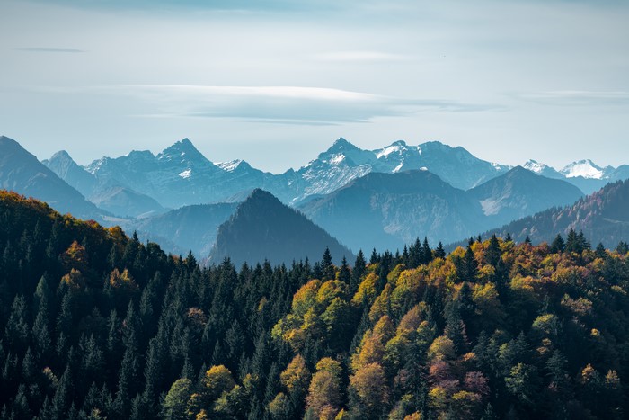 Autumn forest and snow-capped mountains
