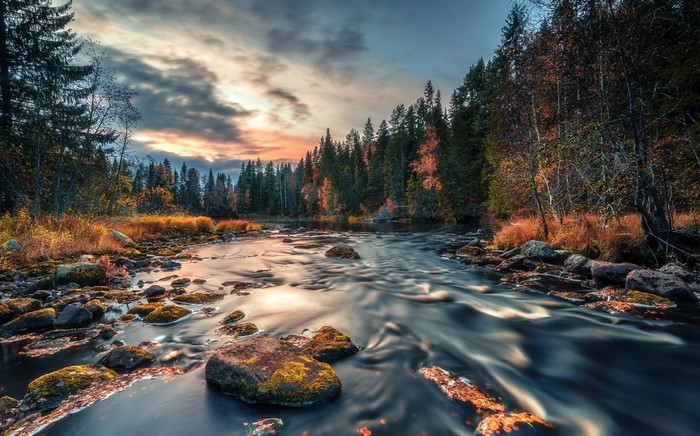 River flowing through a forest during fall at sunset