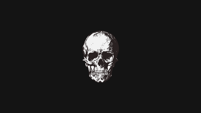 Minimalist Skull 4K