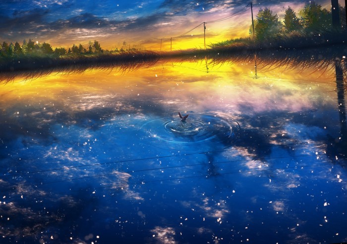 Reflection of sunset sky and trees in a lake with a bird
