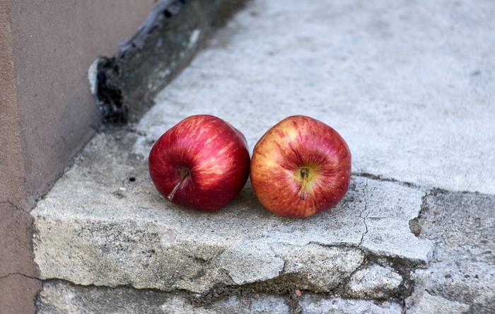 Two red apples on a concrete step