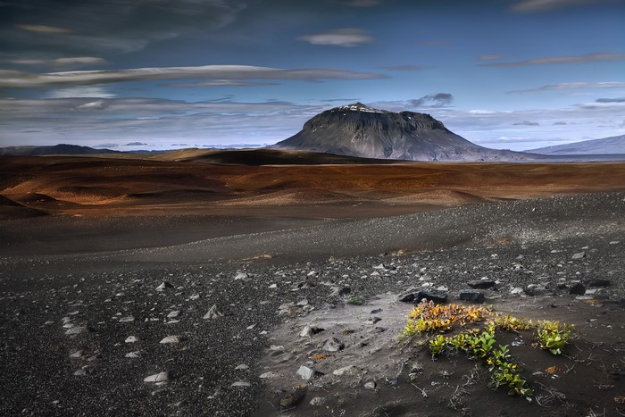 Volcanic landscape in Iceland with a mountain