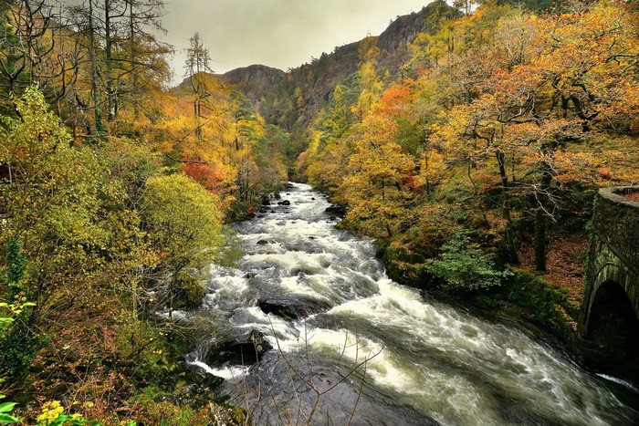 River flowing through an autumn forest with a stone bridge