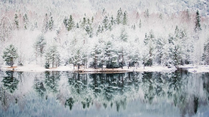 Snow-covered trees reflecting in a calm lake in Norway