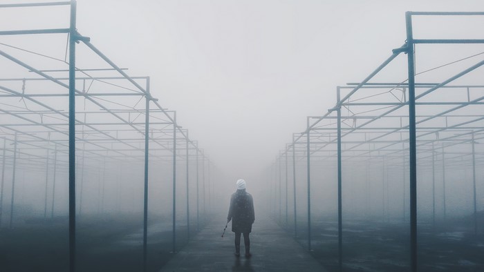 Person standing in a foggy greenhouse structure