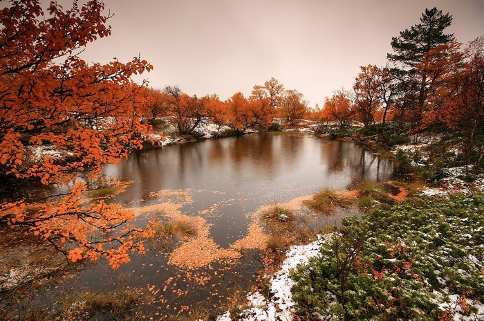 Autumn pond with orange leaves and snow in Norway