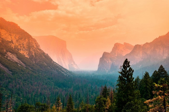 Yosemite National Park landscape with mountains and forest
