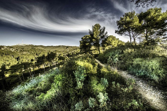 Mountain landscape with trees and a radio tower