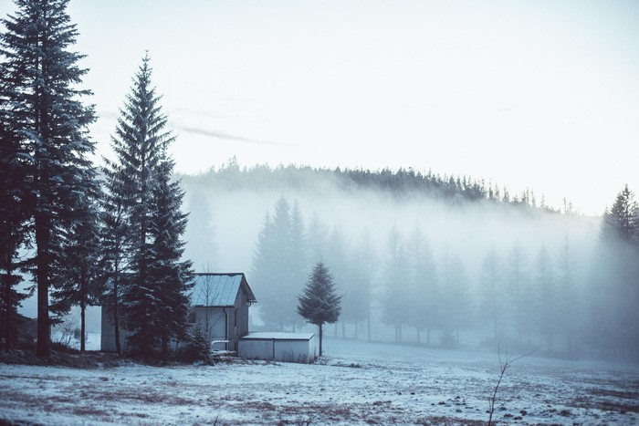 Winter forest with mist and a small house