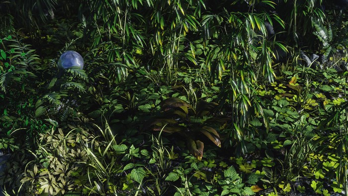 4K jungle with plants and a blue ball