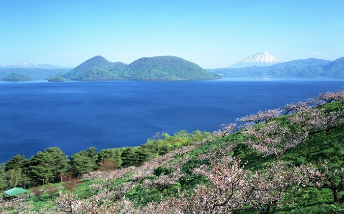 Lake with Mountains and Cherry Blossoms