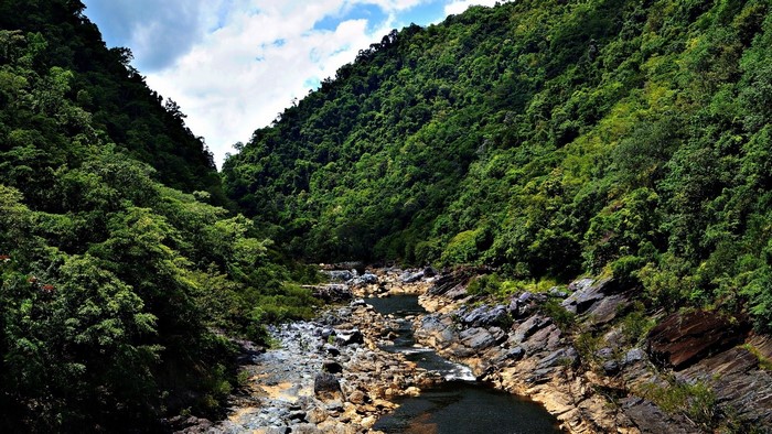 River flowing through a lush green mountain valley