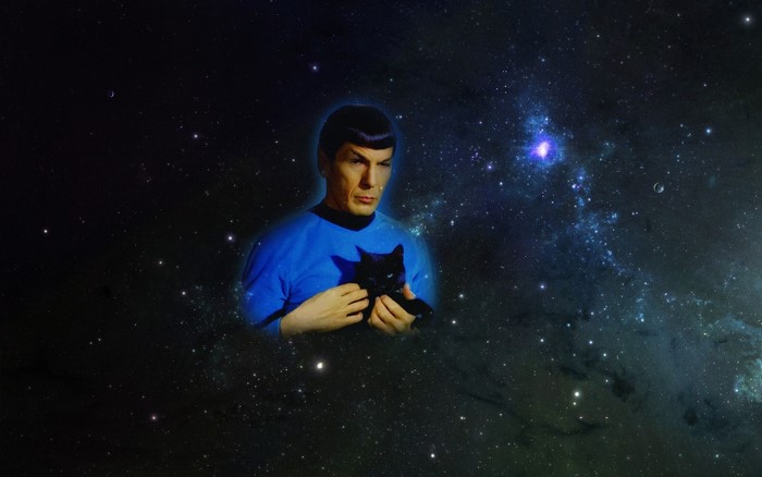 Spock from Star Trek holding a black cat in space
