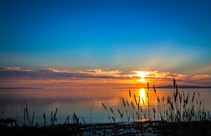 Sunset over a calm lake with reeds in the foreground