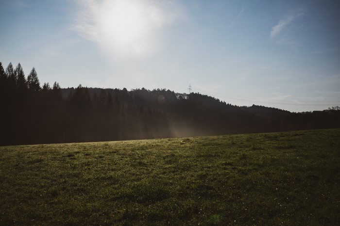 Sunbeams through mist over a forest landscape in Germany