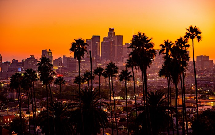 Los Angeles skyline at sunset with palm trees