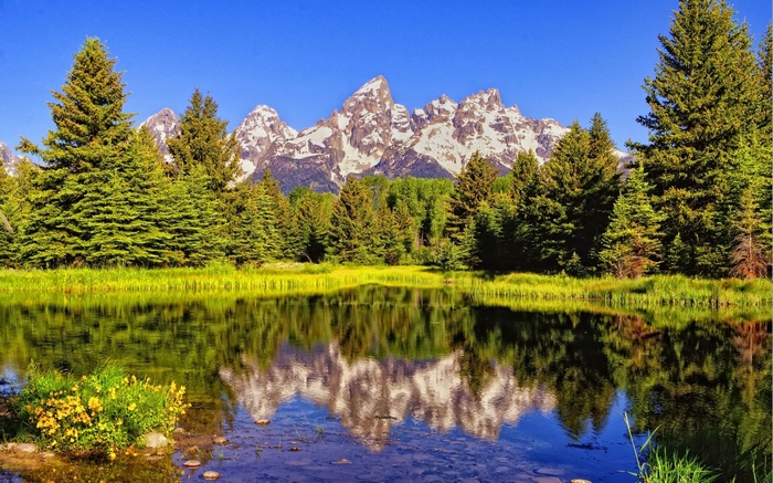 Grand Teton National Park with Reflection