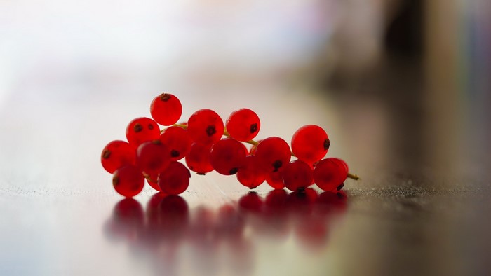 Red currants on a reflective surface
