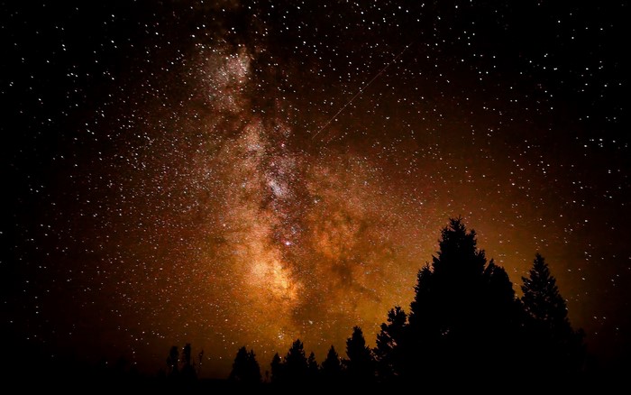 Milky Way galaxy over silhouetted trees at night