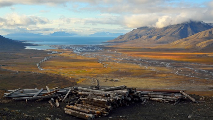 Svalbard landscape with mountains, sea, and logs