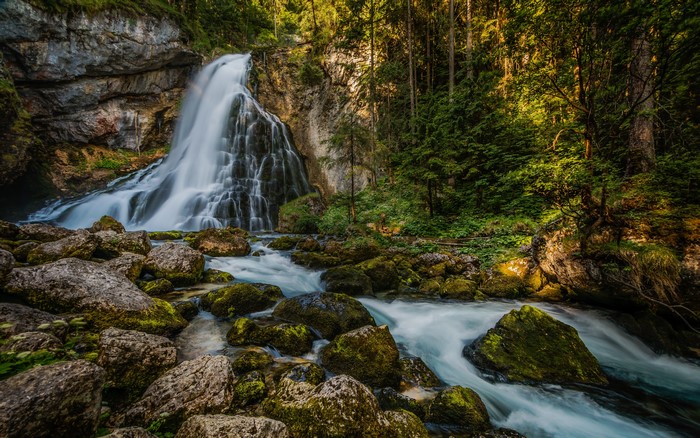 Waterfall in a forest in Austria