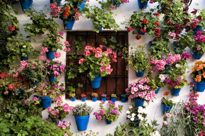 Wall of potted flowers and plants