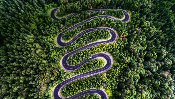 Aerial view of a winding road through a dense forest