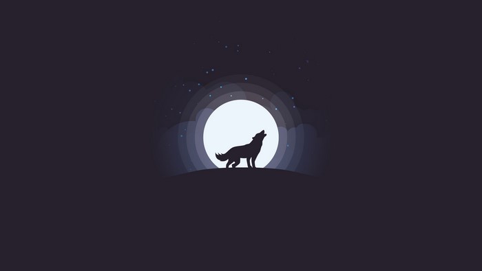 Wolf howling at the moon with stars and clouds