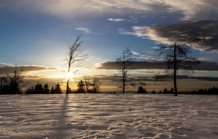 Winter sunset with snow-covered field and silhouetted trees