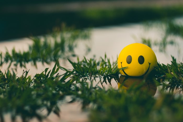 Yellow smiley ball in grass and water