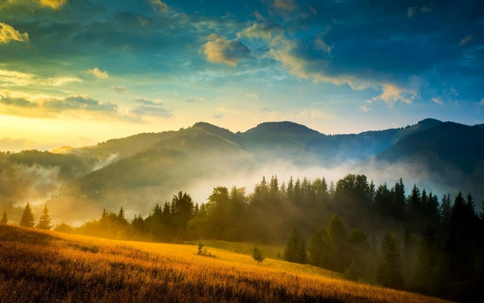 Misty mountains at sunrise with golden grass field