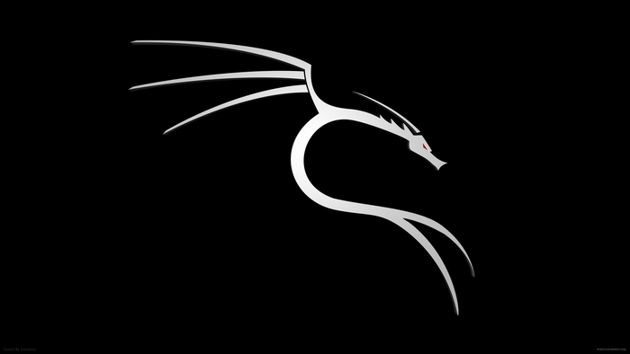 Minimalist Kali Linux Dragon Logo