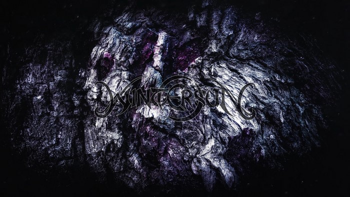 Wintersun metal band logo on textured background