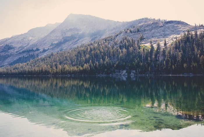 Lake with reflection of mountains and forest