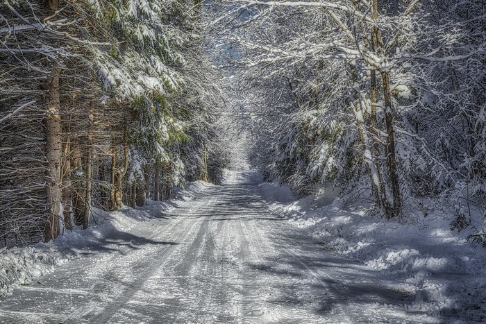 Snowy forest road in winter
