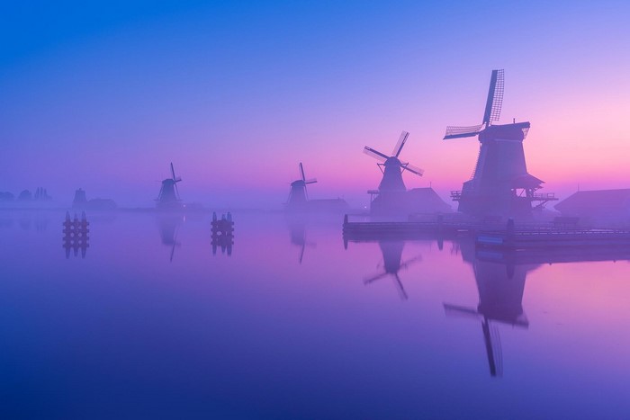 Windmills in the Netherlands at sunrise