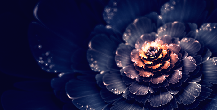 Abstract fractal flower with glowing center