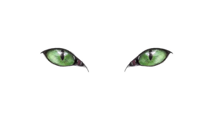 Drawing of two green cat eyes on a white background