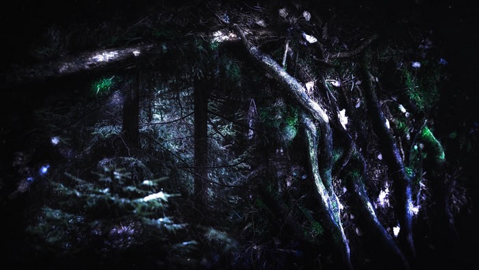 4K Wintersun Music