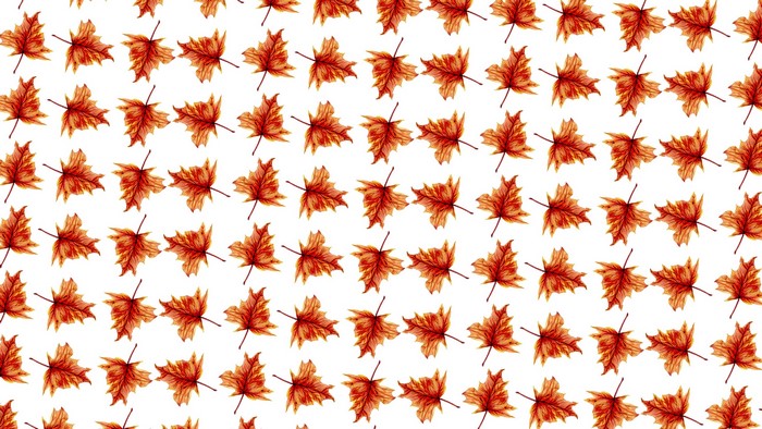 Autumn leaves pattern, traditional art