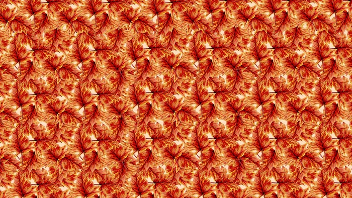 Seamless pattern of autumn maple leaves