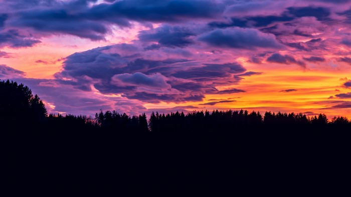 Purple and orange sunset over a dark forest silhouette