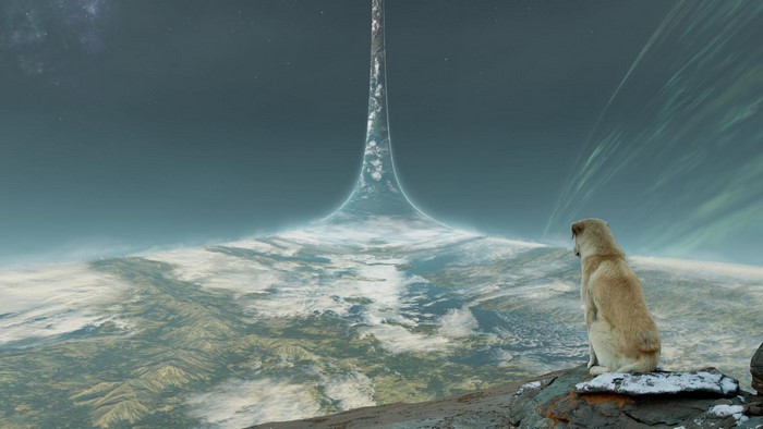 Dog on a rocky outcrop overlooking a Halo ring