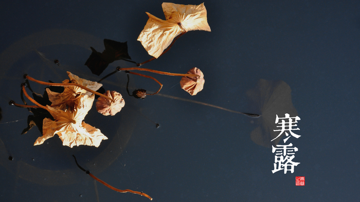 Dried lotus pods and leaves floating on dark water with Chinese calligraphy