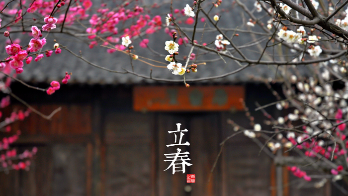 Plum blossoms in front of traditional building