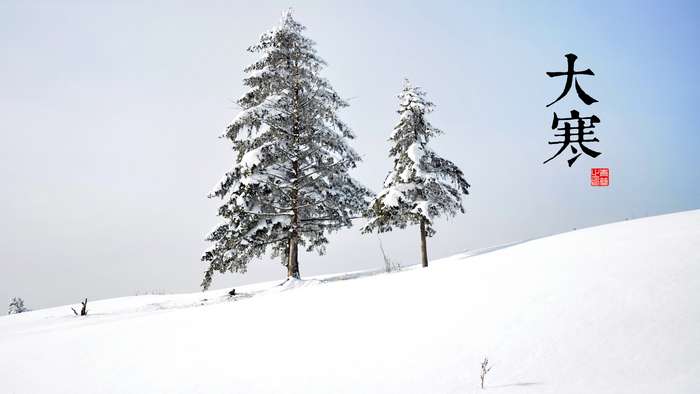 Chinese characters for 'Major Cold' over snowy landscape