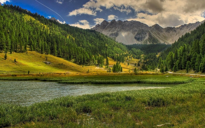 Mountain valley with lake and pine forest