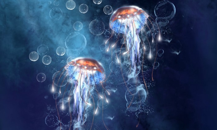 Two glowing jellyfish in a dark blue ocean with bubbles